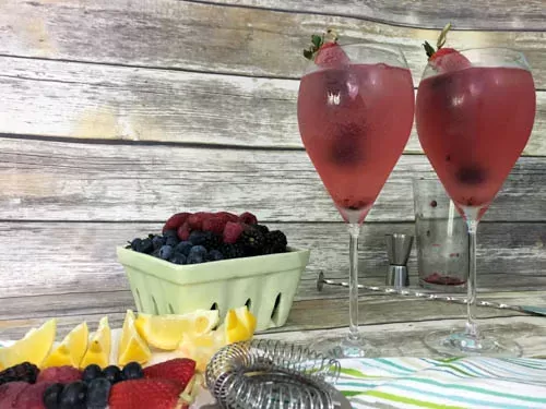 Fruit Life Berry